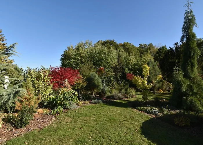 Alexandra * Kacanovy